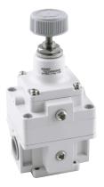 AIGNE T022305030000 - REGULADOR PRECISION 1/2" 0-8 BAR